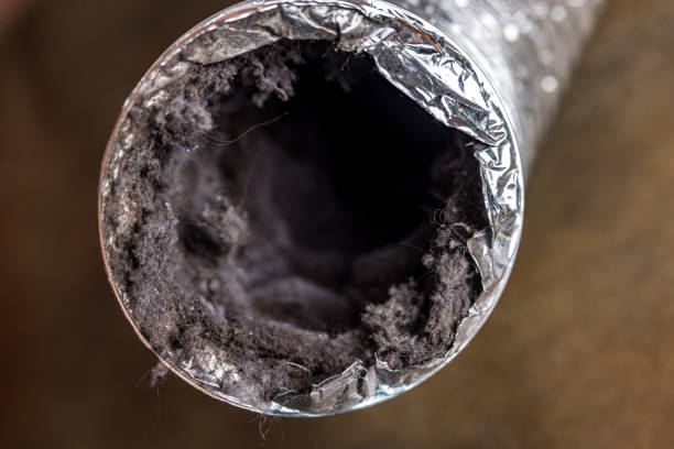 Best HVAC Air Duct Cleaning  in Marlboro Village, MD