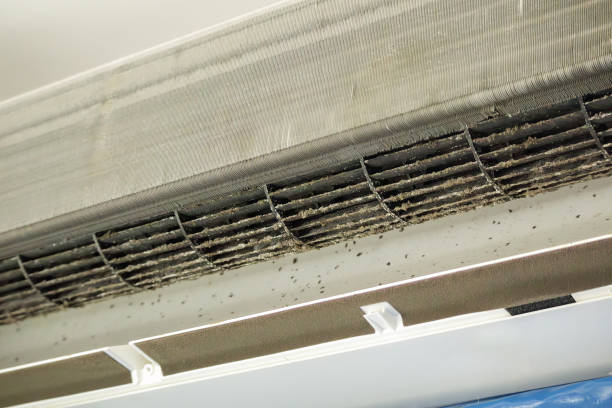 Best HVAC Maintenance and Cleaning  in Marlboro Village, MD