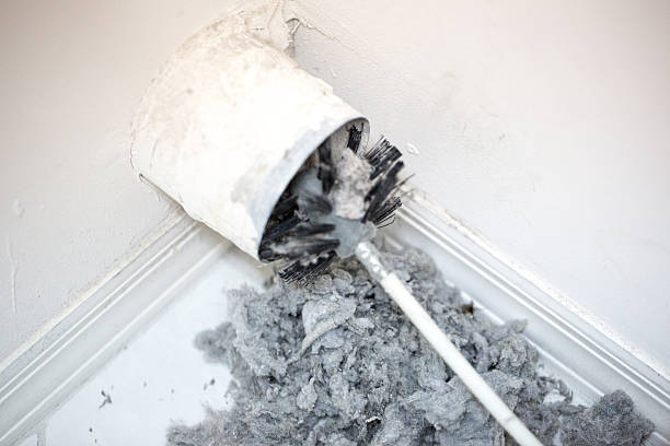 Best Dryer Vent Cleaning Services  in Marlboro Village, MD